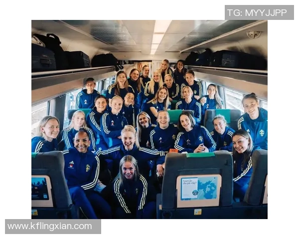 女足瑞典对战加拿大赛事分析及推荐策略分享